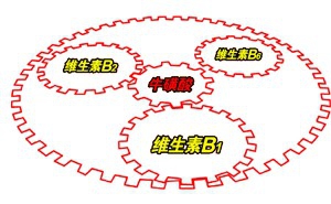 如何让你的大脑保持兴奋状态