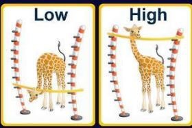 小学生背单词怎样才能事半功倍？来一起学习吧！