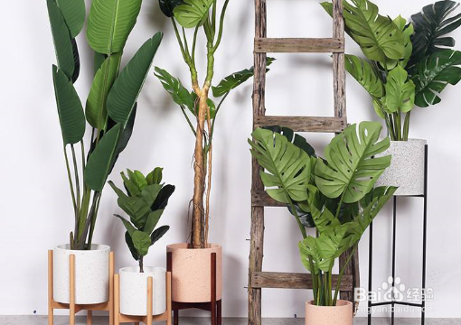 拼颜值的时代，如何打造网红客厅？