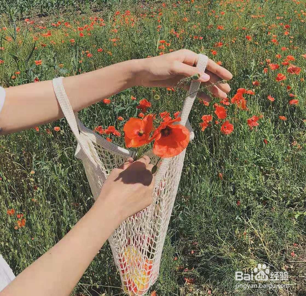 有哪些ins风格的图片