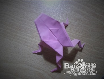 萌哒哒的小青蛙