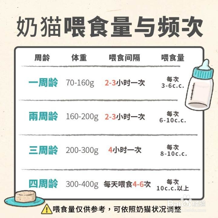 幼猫喂养攻略