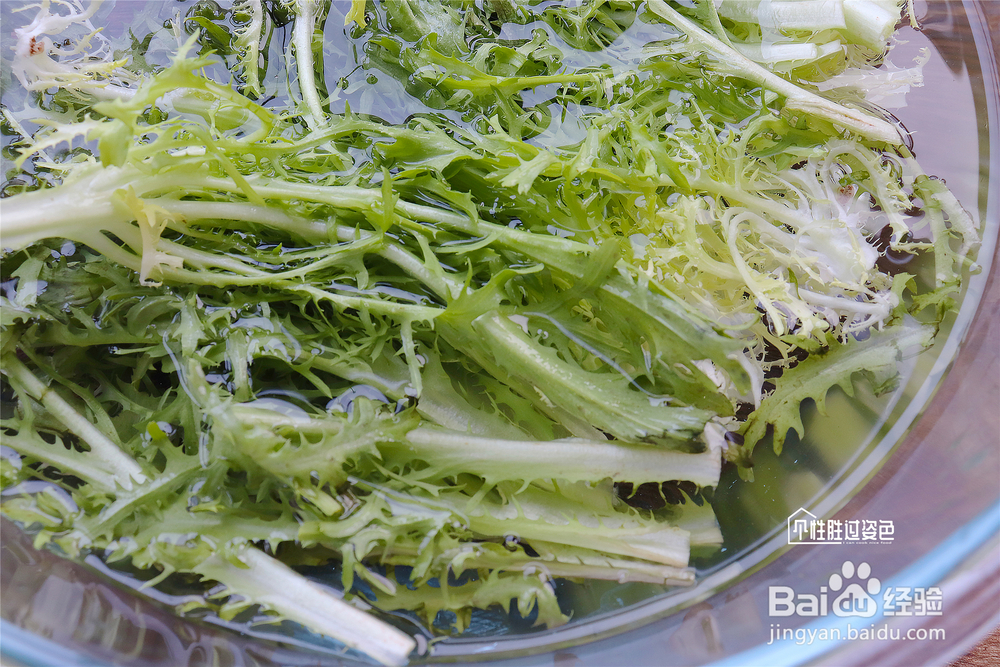 不能拒绝的花生苦菊