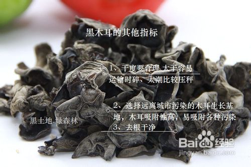 教您识别东北黑木耳