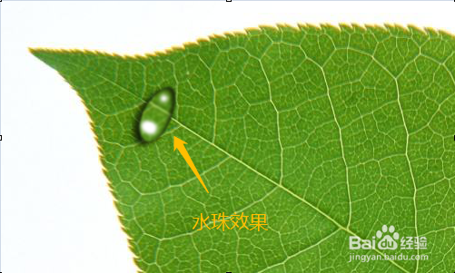 如何用PS制作水珠?