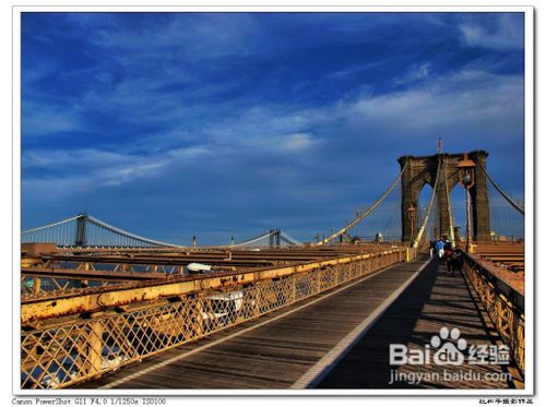 美东七日游(可以进入国会山庄)