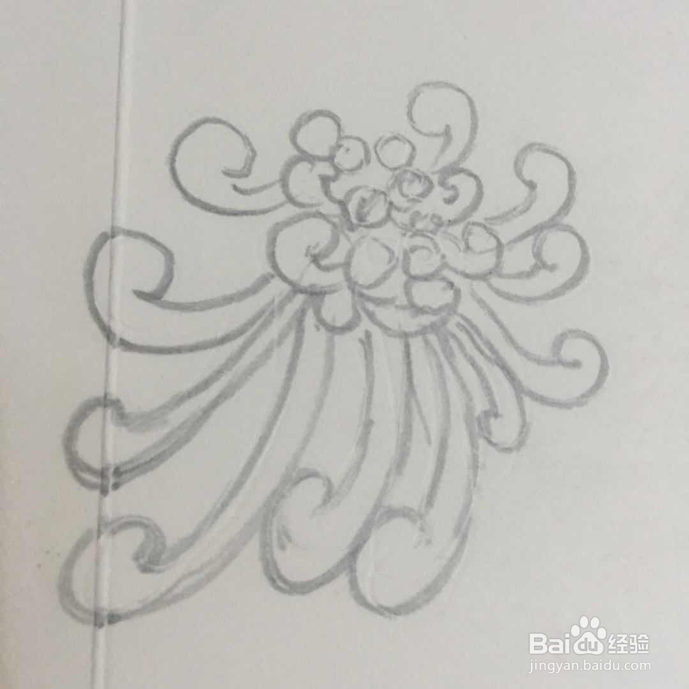 怎样画菊花的简笔画