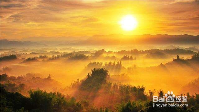 提升摄影取景能力的方法有哪些？