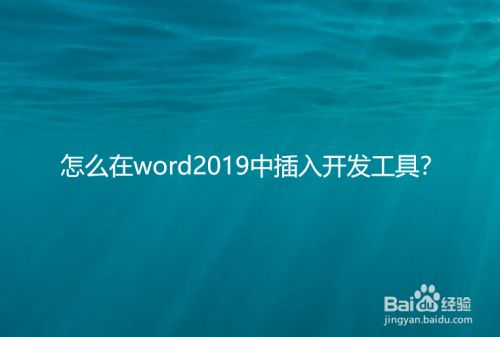 怎么在word2019中插入开发工具