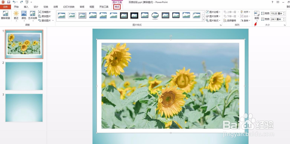 ppt中的图怎么去掉白边