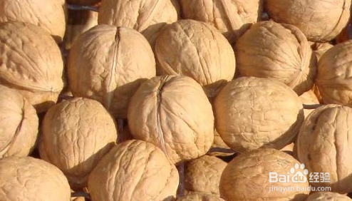 哪些食物对女生长高有帮助？