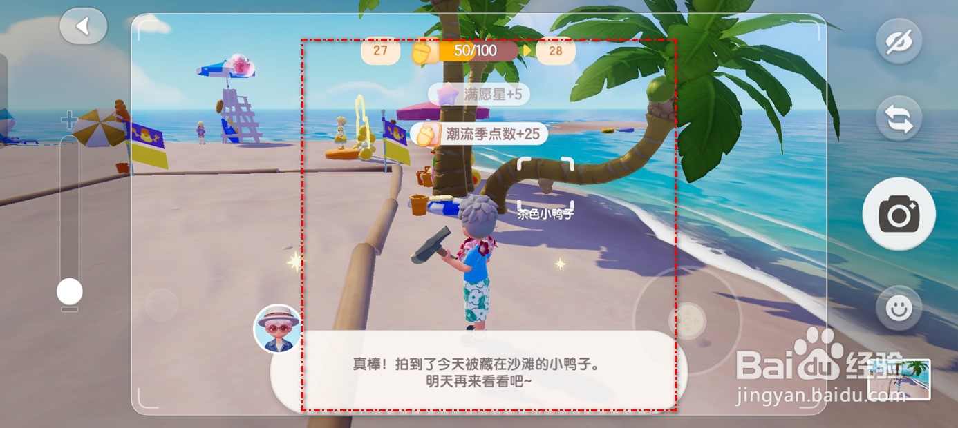 心动小镇在哪里可以拍到茶色小鸭子
