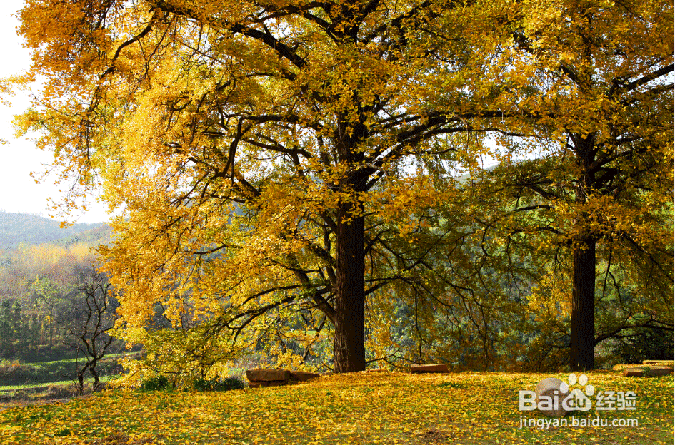 2017年十一长假怎么过？