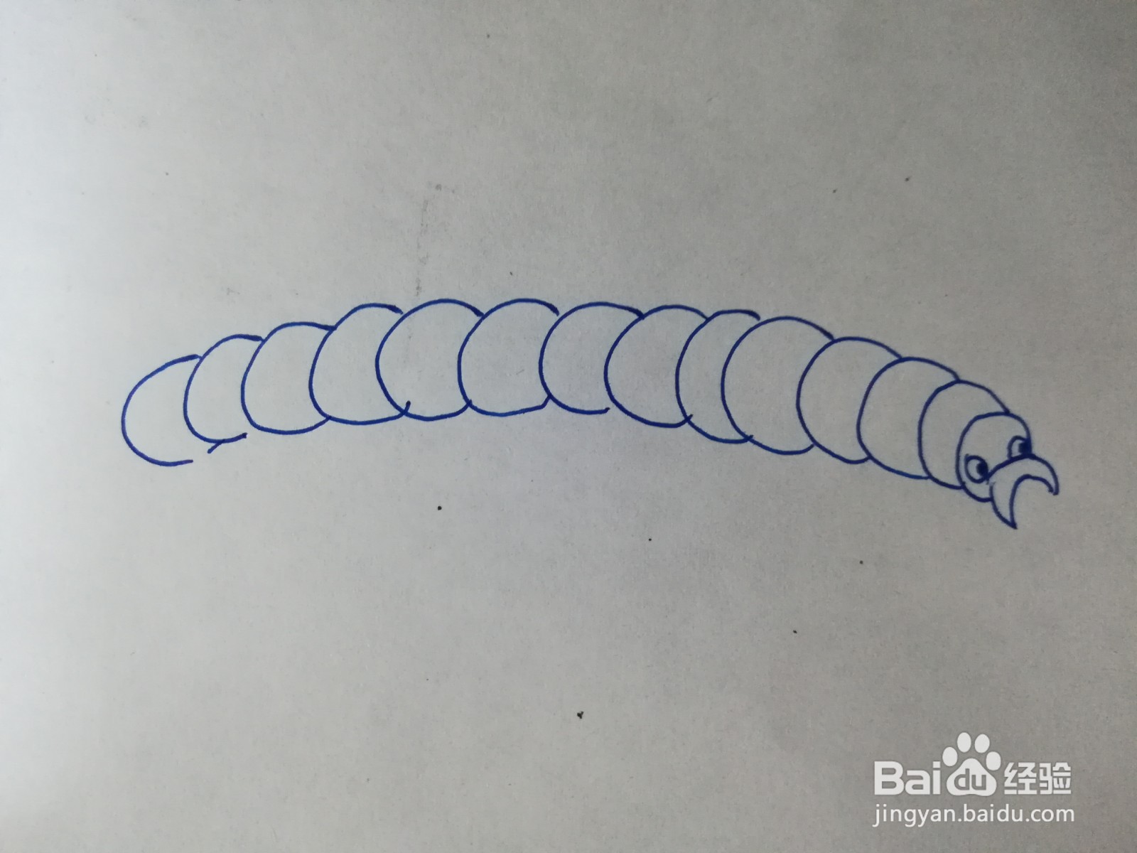 卷心菜毛虫简笔画