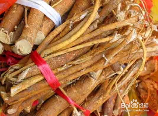 怎么用五指毛桃来煲汤