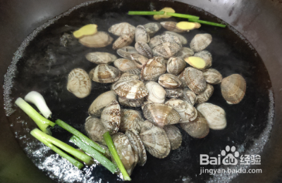 酸辣鲜美的捞汁花甲怎么做？