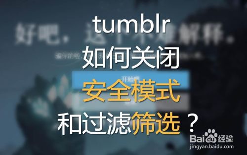 Tumblr怎么关闭安全模式 百度经验