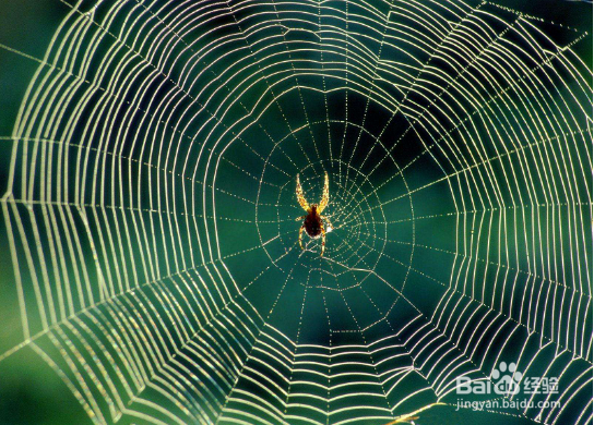 #国庆去哪儿#旅行中怎么辨别天气？