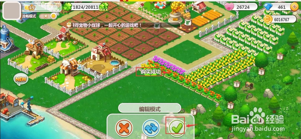 怎样购买植物向日葵？