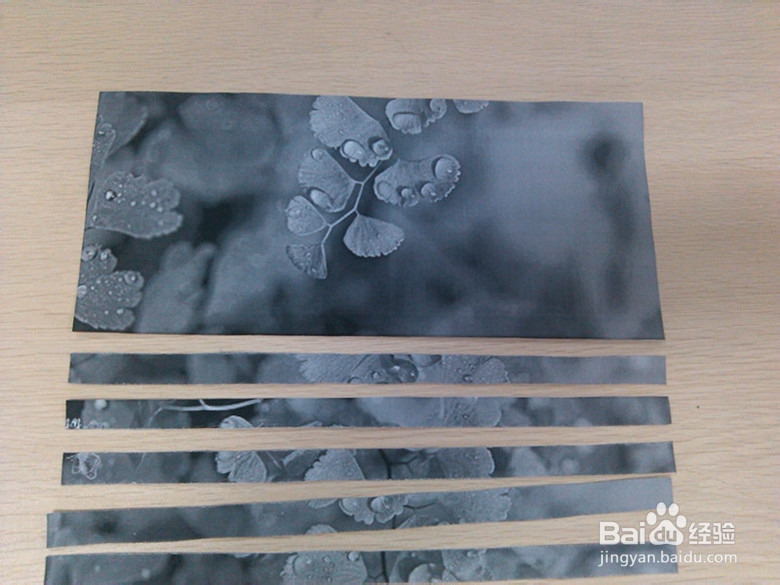 折纸攻略之多彩玫瑰