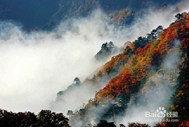 光雾山自驾游攻略