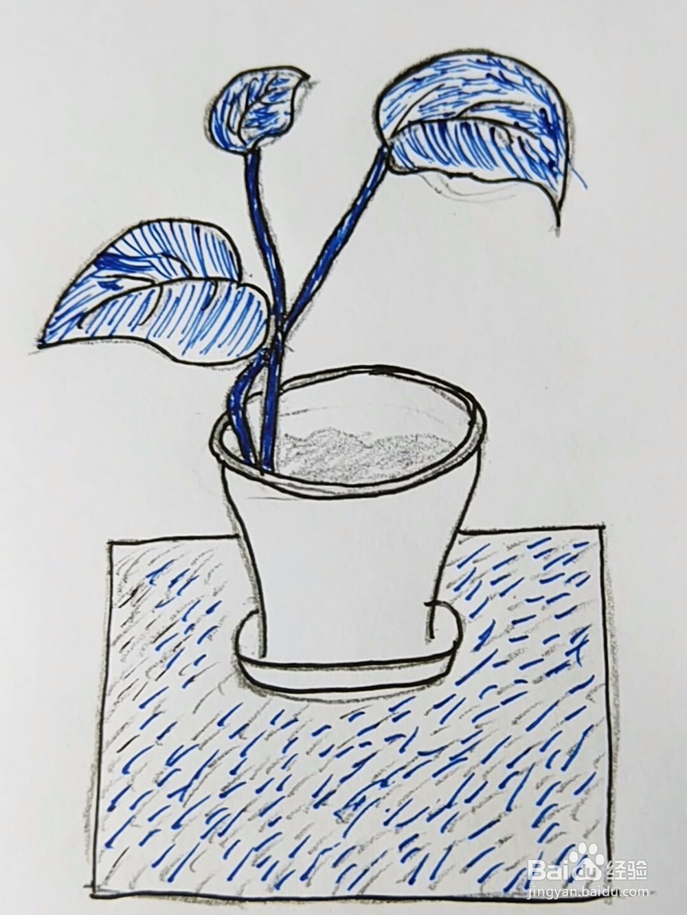 简笔画:绿萝小盆栽画法