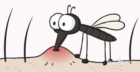<b>如何有效的预防宝宝被蚊虫的叮咬</b>