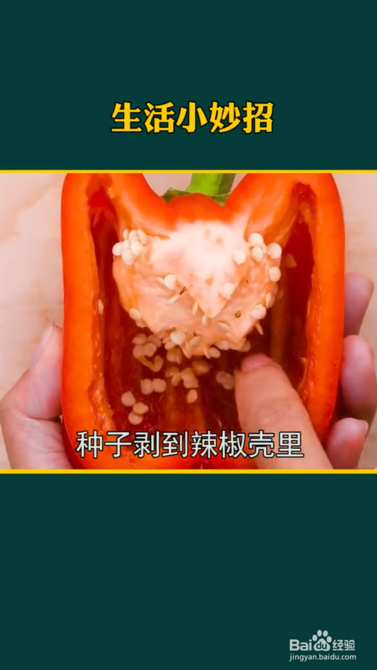 生活小妙招之种植小妙招