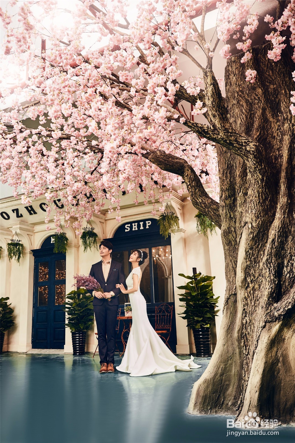 拍出好照片有哪些决定性因素