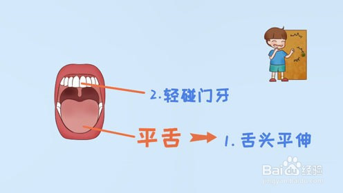平舌音:指由舌尖抵住上齿龈阻碍气流而形成的音.