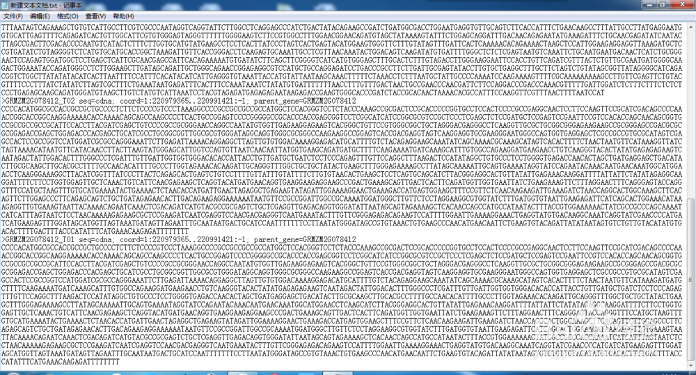 MEGA 5.0构建进化树
