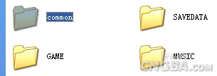 PSP3000看书方法：BookReader图文教程