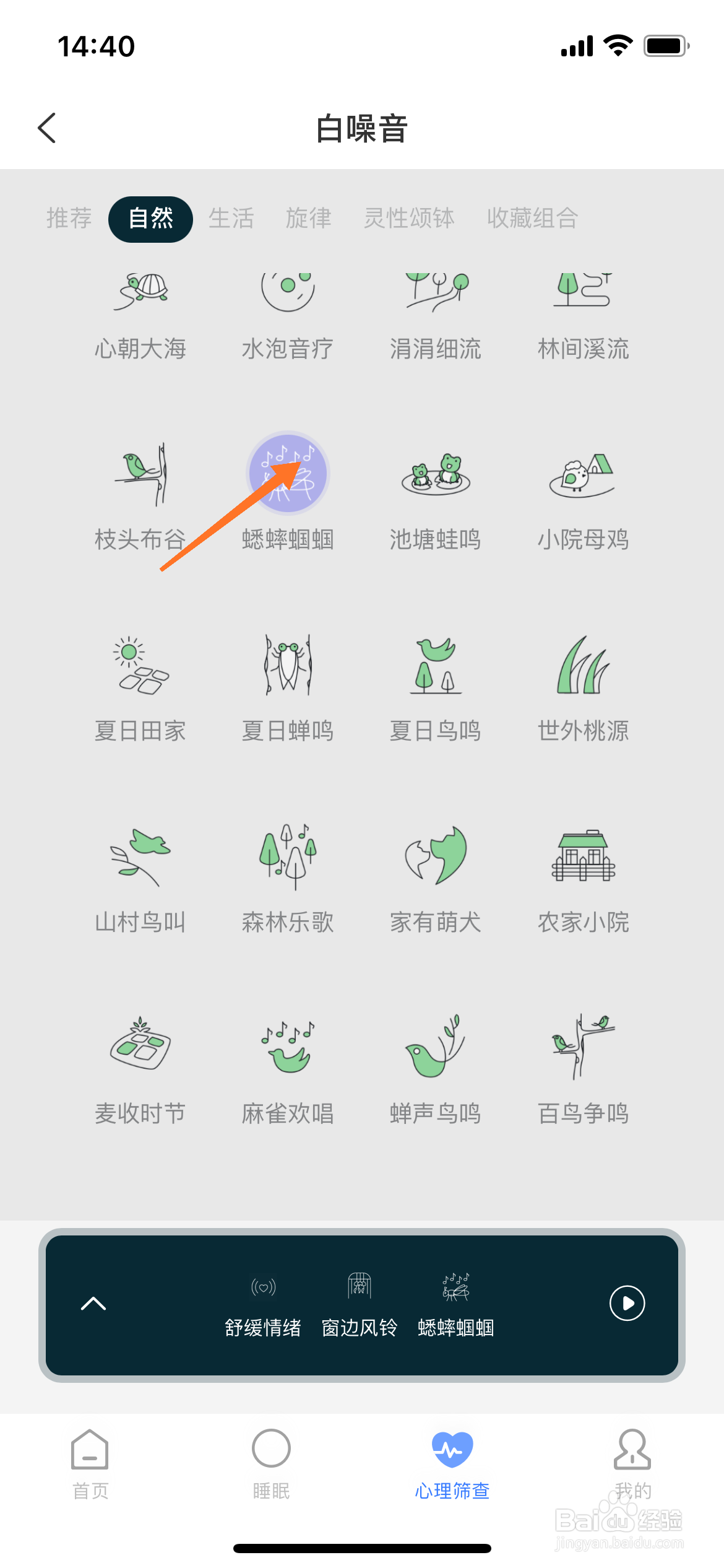 Relax冥想中如何播放蟋蟀蝈蝈