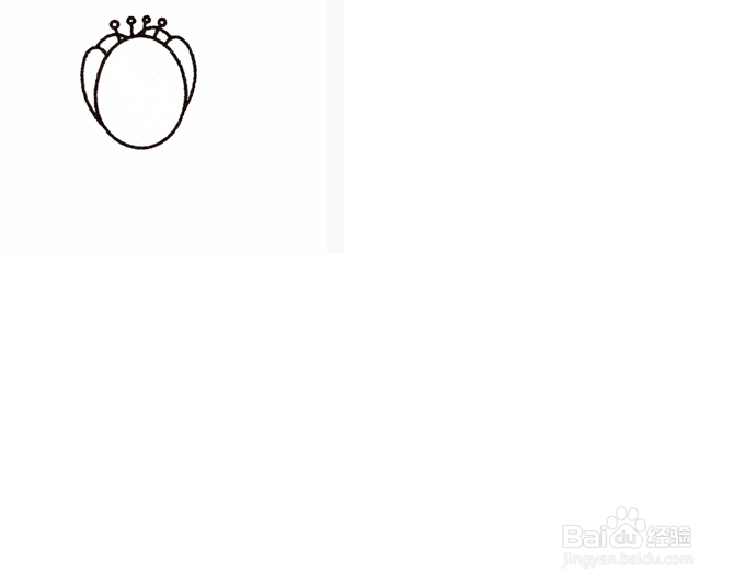 画郁金香的步骤