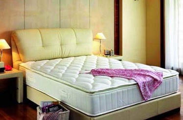 家中的什么地方容易滋生螨虫