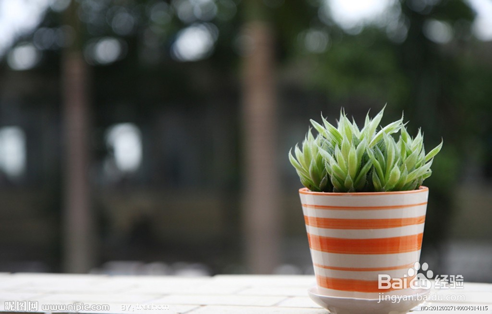 每天都吸二手烟怎么办