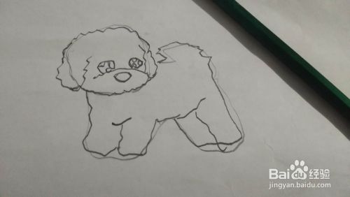 如何用铅笔画比熊