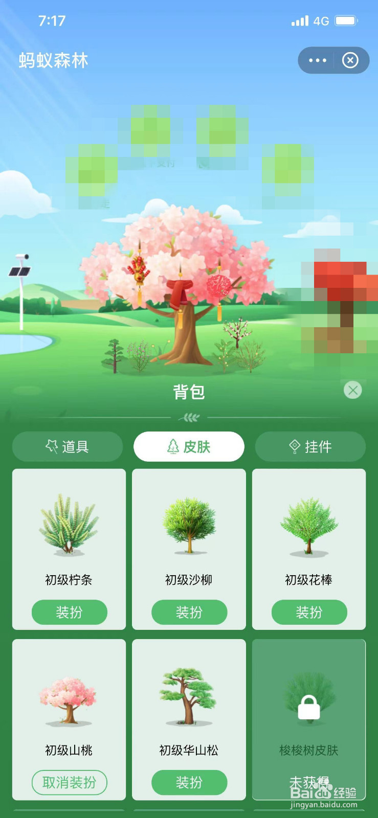 如何切换蚂蚁森林的皮肤