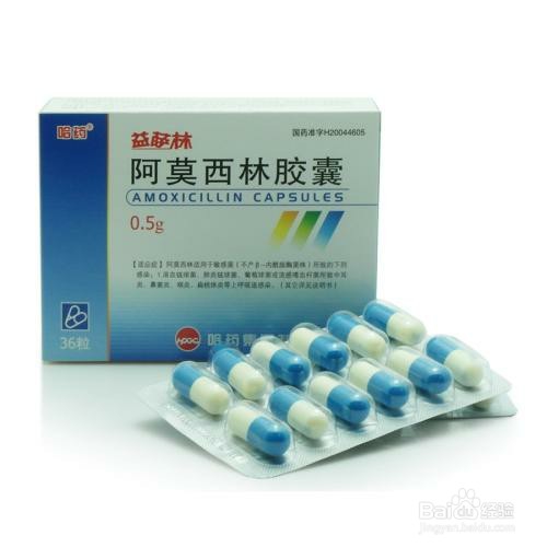 阿莫西林的妙用