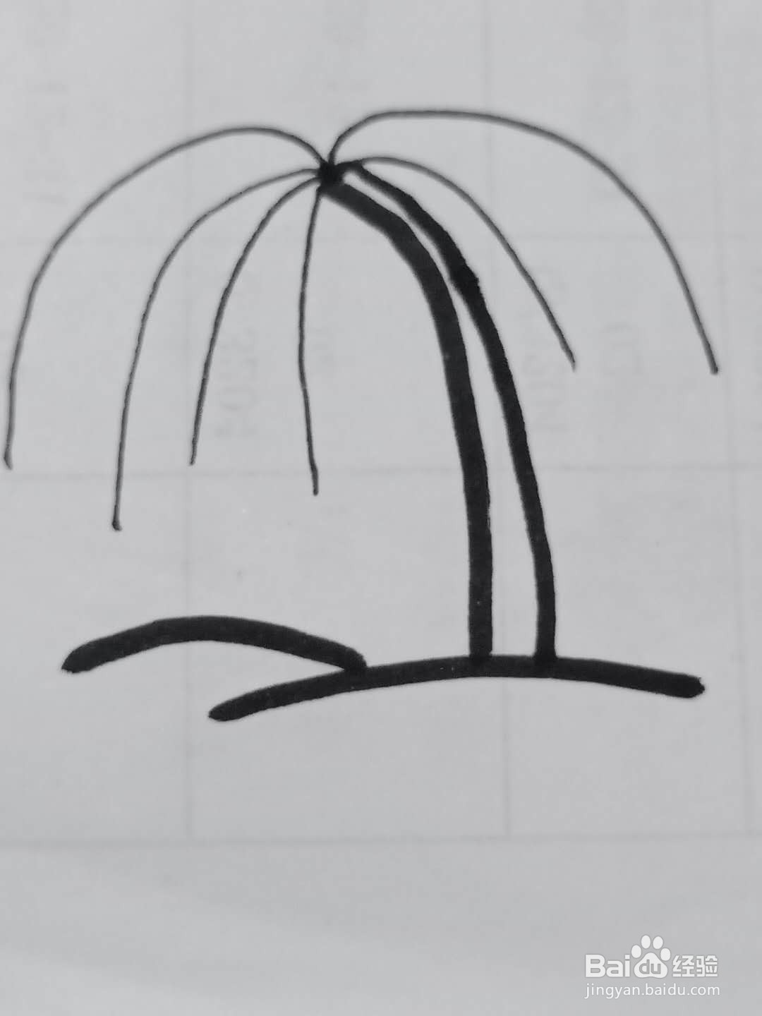 怎样画柳树