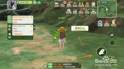 小森生活中怎样获得薄荷叶