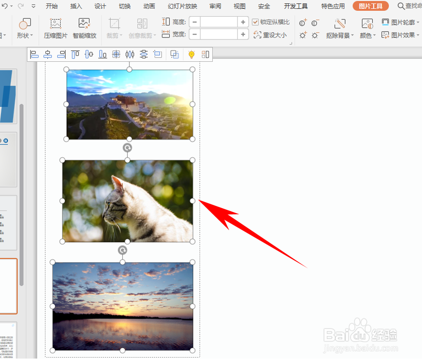 在PPT中插入多张图片怎么快速对齐？