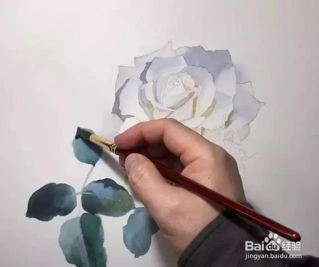 水彩玫瑰花的画法