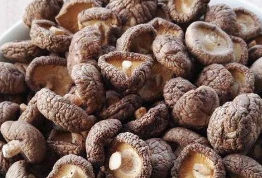 干香菇和鲜香菇有区别吗