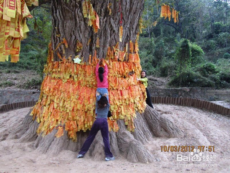 济源王屋山门票预订技巧