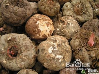 哪些食物越吃越瘦