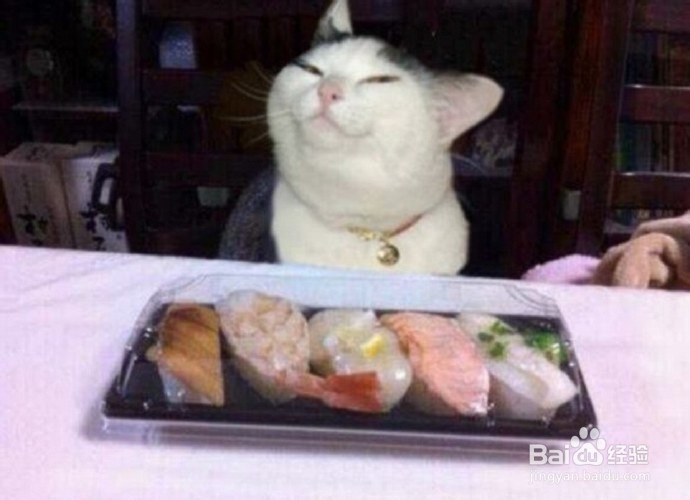会微笑的动物