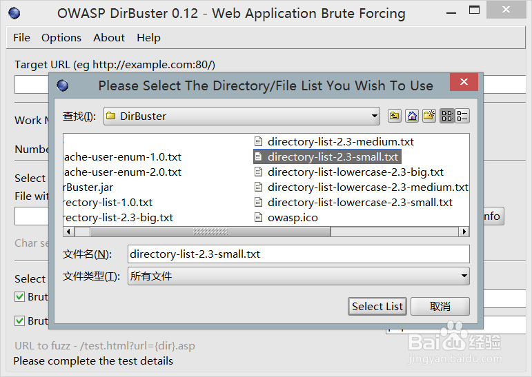 WEB 模糊测试工具dirbuster的使用方法