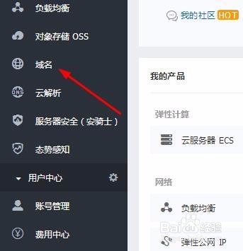 利用阿里云服务器查看自己的已成交的域名