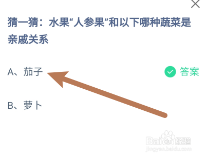蚂蚁庄园:水果“人参果
